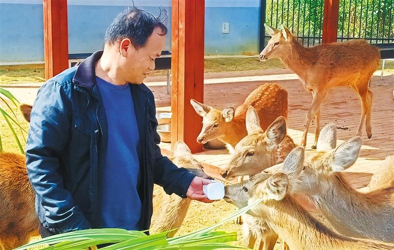 量发展产业调研】林下生金不朽情缘游戏网站址【高质(图3)