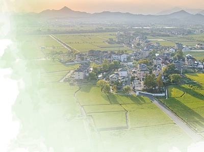 农村集体经济（人民眼·乡村全面振兴）不朽情缘平台登录入口经理人如何盘活(图3)